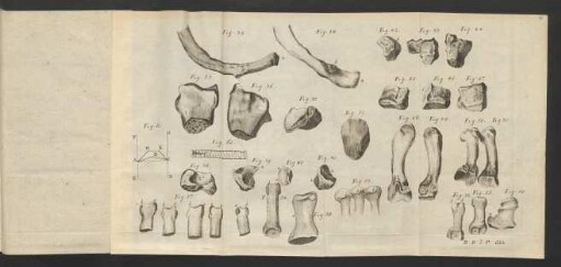 Fig. 33. - Fig. 61.