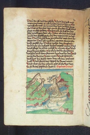 Gespräch der Vögel Mosan und Holgot, Holgots Frau fliegt mit Fischen im Maul herbei; (Kapitel XVI: Von den Vögeln).
