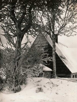 Seiffen-Heidelberg. Obere Reihe, verschneites Haus