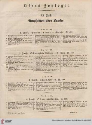 XI. Classe. Amphibien oder Lurche
