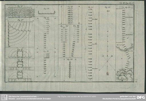 Tab. III, Fig. 55 - 69