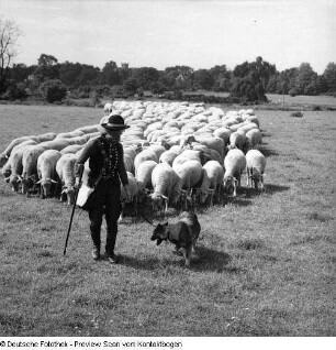 Richter auf Elbwiese