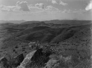 Hügelige Landschaft : Hügeligen Landschaft im Hochland Eritreas