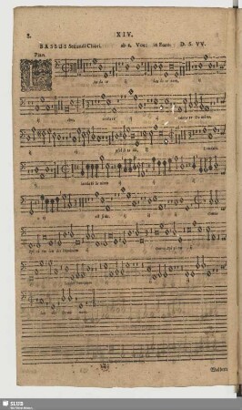 XIV. Laudate Dominum de caelis
