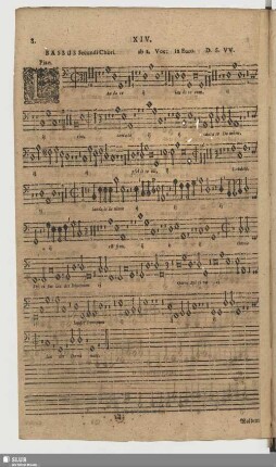 XIV. Laudate Dominum de caelis
