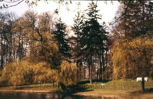Kurpark: Salzteich