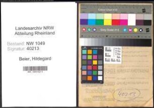 Entnazifizierung Hildegard Beier , geb. 31.07.1916 (Buchhalterin)