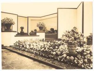Ausstellungsgarten Jubiläums-Gartenbau-Ausstellung 1926, Dresden: Austellungspalast: Innenansicht Halle mit Dahlien