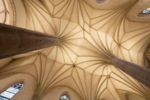 Katholische Kirche Mariä Himmelfahrt, Gojau, Tschechische Republik