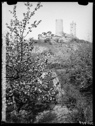 Ruine Saaleck von Westen