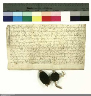 Philipp Schadt von Ostheim, Kanoniker zu Aschaffenburg und Vikar von St. Martin in Fulda, gibt eine Baustätte zu Lehen