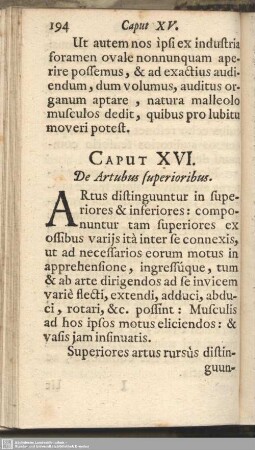 Caput XVI. De Artubus superioribus