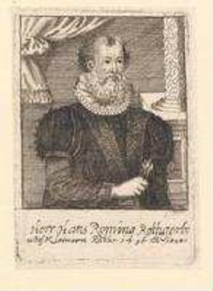Hans (I.) Roming, Rotgerber und des Kleinern Rats; gest. 1508