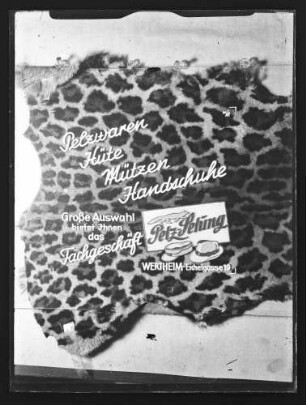 Werbung des Fachgeschäftes Pelz-Selung, Eichelgasse 19 in Wertheim für Pelzwaren, Hüte, Mützen, Handschuhe