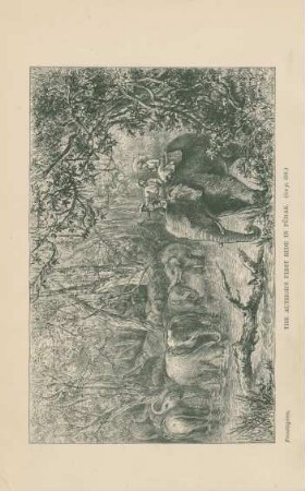 The author's first ride in Pêrak
