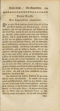 Dritte Klasse. Die Amphibien (Amphibia)