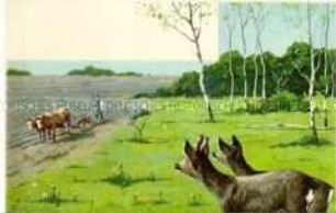 Rehe und Bauer mit Ochsengespann