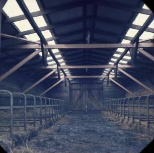 Fotografie: Liegehalle, Liegebox, Tiefbox