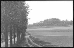 Kamenz. Hutberg