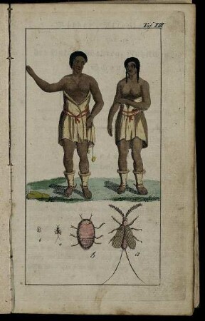 Sechstes Stück. Sonnabends, den 11ten Februar 1797