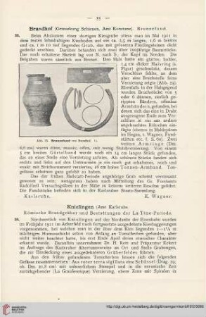 5: Brandhof (Germarkung Schienen, Amt Konstanz) : Bronzefund