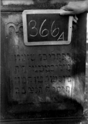 Grabstein 366 (Index: 100111889) Material: Sandstein Zustand: gut Maße HxBxT: 138x55x26 cm Beschreibung: Stele, getreppter Sockel, giebelartiger Abschluß mit Verdachung, Schriftfeld eingetieft Symbolik: stilisierte Blüte, gestelztes Rundbogenfries: Grabstein 366A