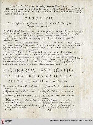 Figurarum Explicatio: Tabula trigesima-quarta
