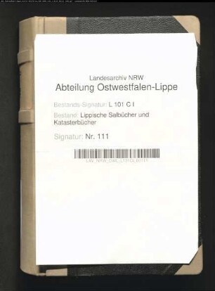 Salbuch der Vogtei Lage von 1781 (Duplikat)