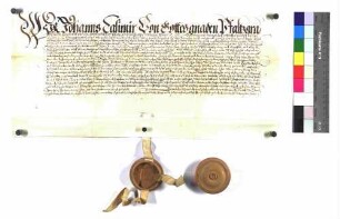 Pfalzgraf Johann Casimir belehnt den Schenken Albrecht mit Schloss Kransperg und Schloss Rottenberg