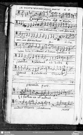 37 Philipp Dulichius: Exsurgens Maria