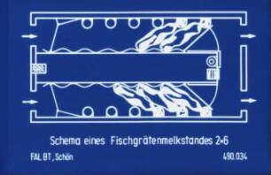Schema eines Fischgrätenmelkstandes 2x6