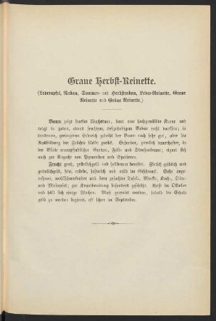 Graue Herbst-Reinette. (Lederapfel, Rabau, Sommer- und Herbstrabau, Leder-Reinette, Graue Reinette und Grüne Reinette.)