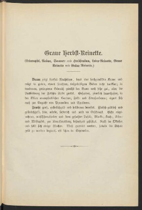 Graue Herbst-Reinette. (Lederapfel, Rabau, Sommer- und Herbstrabau, Leder-Reinette, Graue Reinette und Grüne Reinette.)