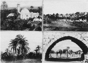 Dschenin [wohl Jenin] Moschee, Palmen, vom Wasser.leitung