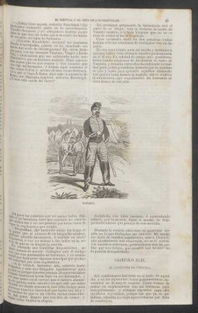 Capítulo XLIX. - El carácter de Virginia.