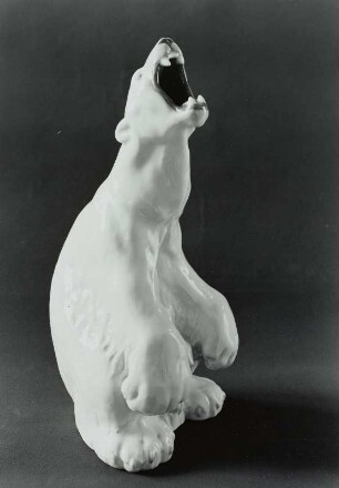 Eisbär