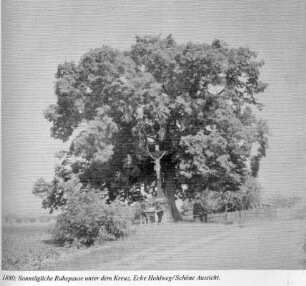Wegekreuz; Walluf, Hohlweg