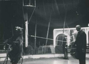 Circus Busch, ohne Ortsangabe, ohne Jahr