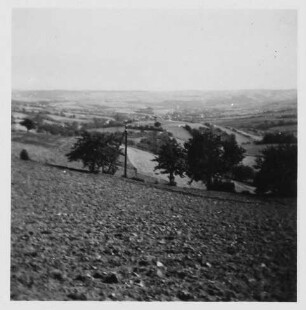 Landschaft