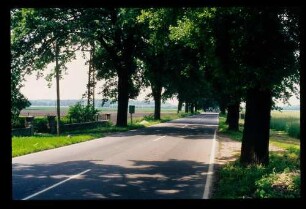 Chaussee n. Storkow 20.6.84.