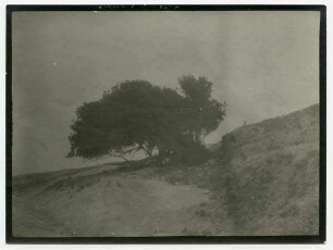 charrubet el'asara. Bei el-'isawiji [el-isawija]