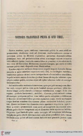 Sectiones transversae pelvis in sexu virili