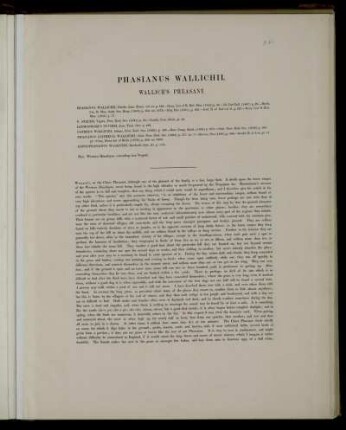 Phasianus Wallichii