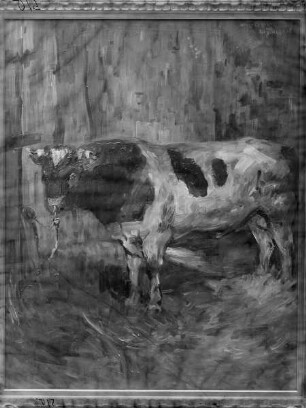 Stier im Stall