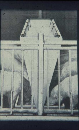 Fotografie: Fütterungstechnik, Mastschwein, Trockenfütterungsanlage