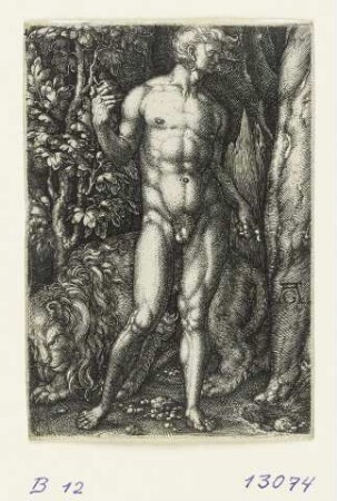 Adam mit einem Löwen