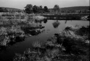 Schwenninger Moos (Neckarquelle) bei Schwenningen