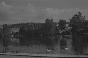 Braunlage: Teich im Park