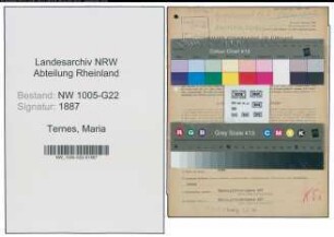 Entnazifizierung Maria Ternes , geb. 18.08.1905 (Prokuristin)