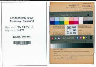 Entnazifizierung Wilhelm Sauter, geb. 23.09.1897 (Schreiner)